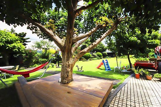 Taichung Xinshe Garden Life Homestay B&B Exterior foto