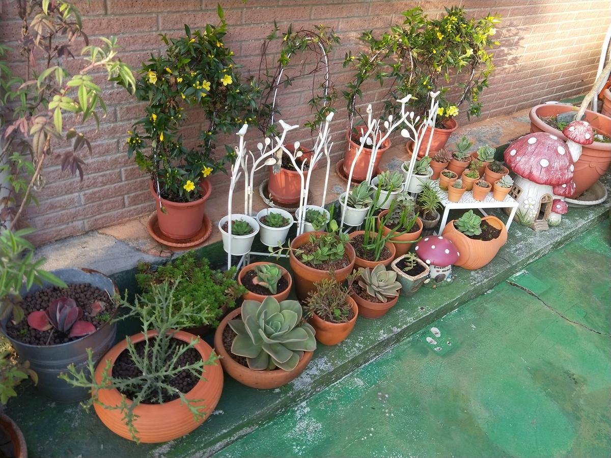 Taichung Xinshe Garden Life Homestay B&B Exterior foto