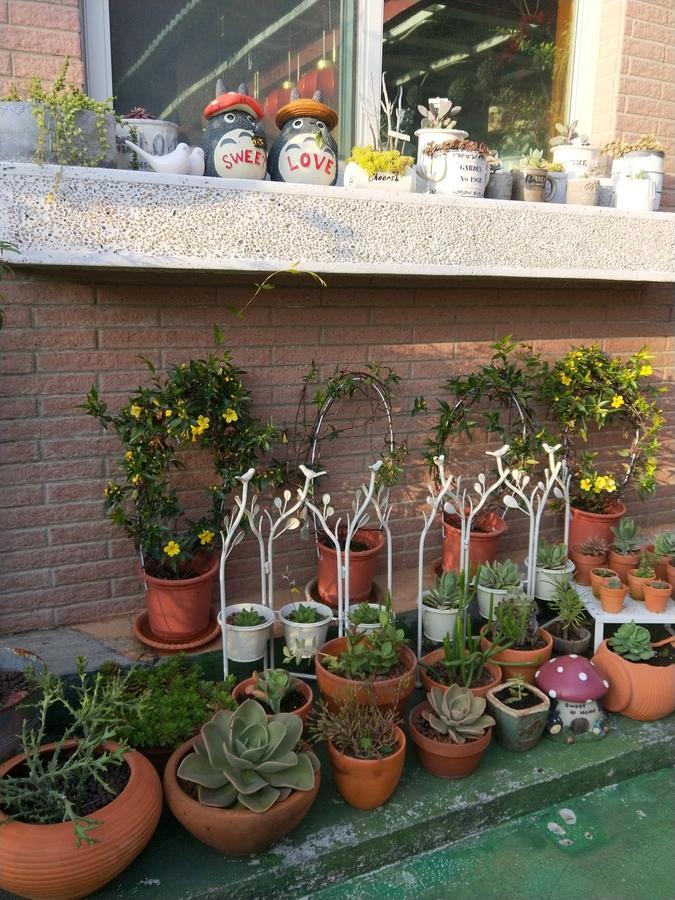 Taichung Xinshe Garden Life Homestay B&B Exterior foto